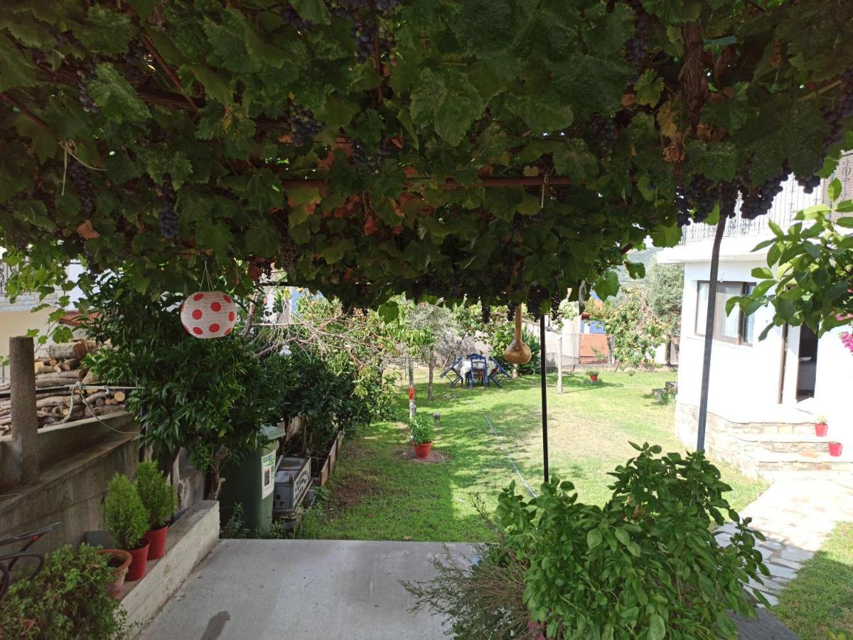 Dora'S House Comfortable Apartment With A Yard And View Pyrgadikia Ngoại thất bức ảnh